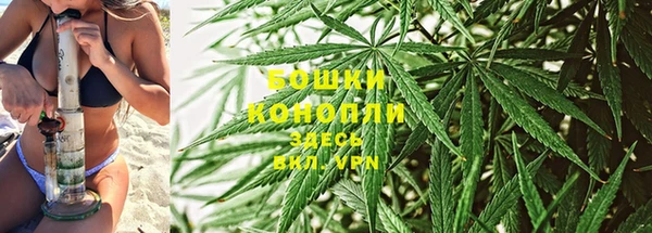 СК Вяземский