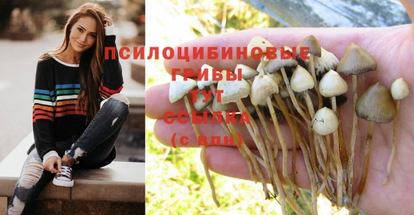 СК Вяземский