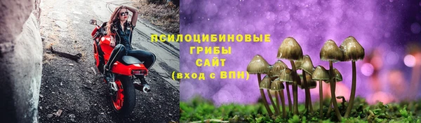 СК Вяземский