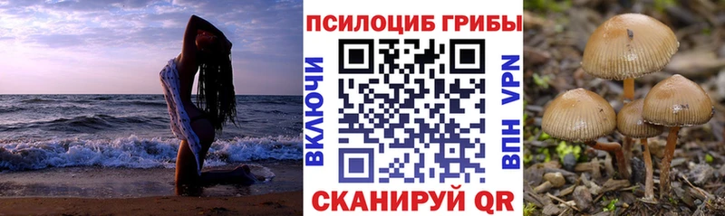 Купить  Октябрьск  Галлюциногенные грибы Psilocybine cubensis 